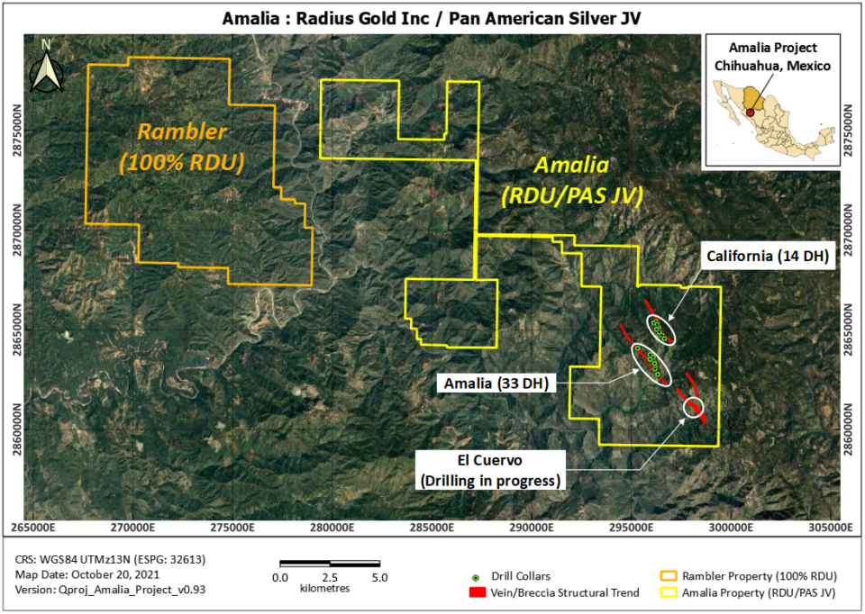 Radius Gold descubre plata y oro de alta ley en proyecto Amalia