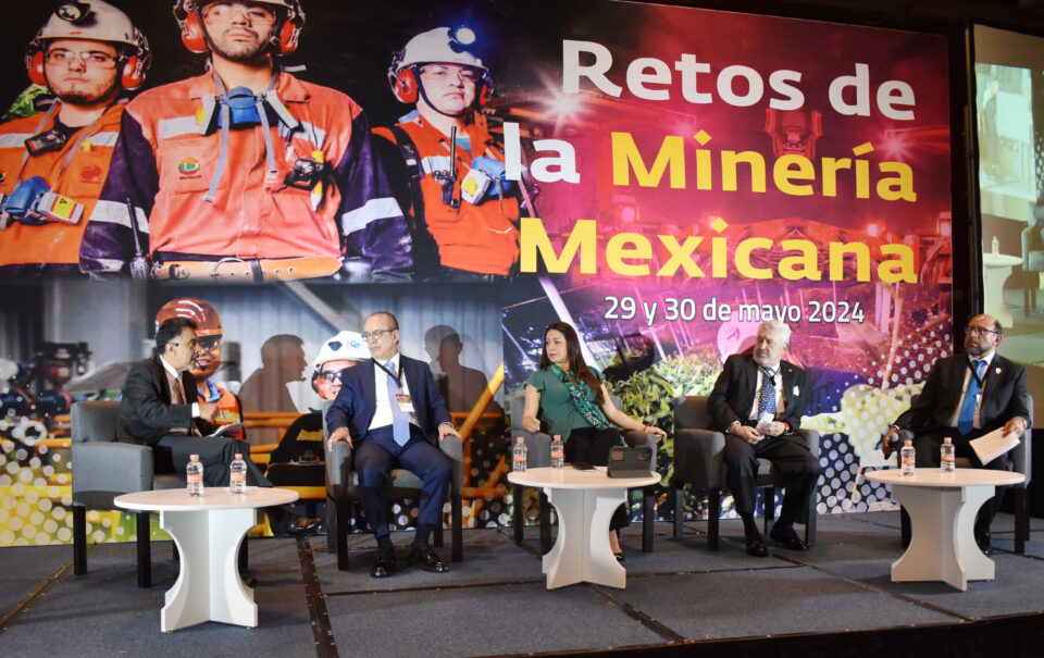 La Crisis en el Sector Minero Mexicano: Una Perspectiva de las Organizaciones