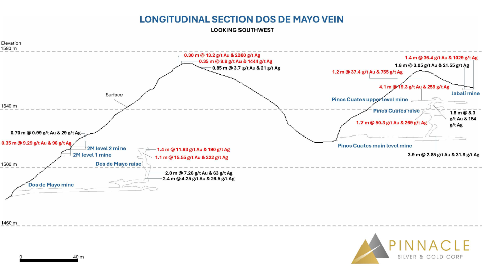 Pinnacle Silver refuerza su equipo para avanzar en proyecto El Potrero en Durango