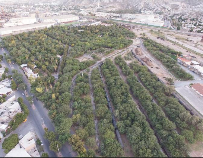 Industrias Peñoles impulsa la reforestación en sus comunidades vecinas